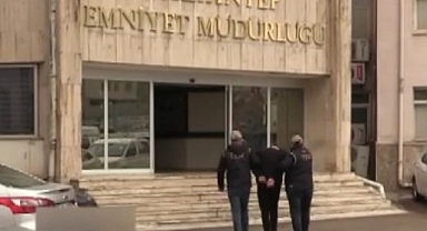 PKK/KCK operasyonunda 1 şahıs tutuklandı