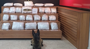 Şanlıurfa’da 21 kilo 550 gram skunk ele geçirildi