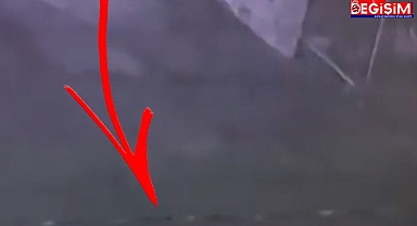 Şanlıurfa'da 3 metrelik yılan kent merkezinde görüldü!