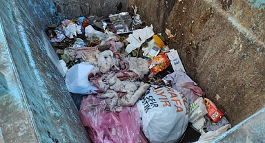 Şanlıurfa'da şok görüntü! Çöpte kesilmiş eşek bulundu