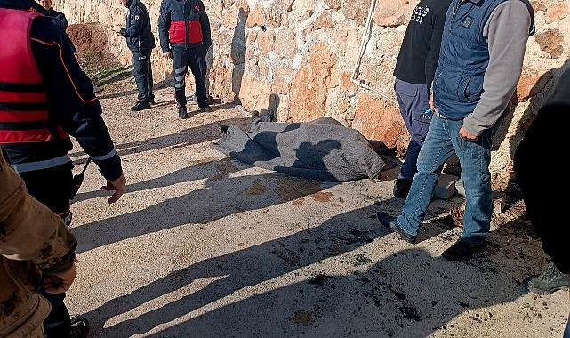 Tekne faciasındaki kayıp son şahıs ölü olarak bulundu