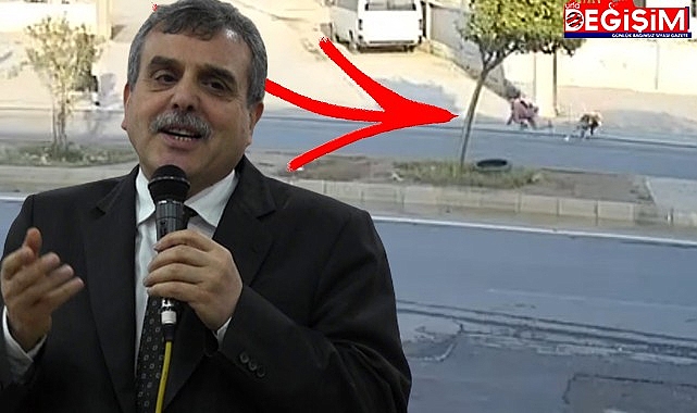 Urfa'da sokak köpekleri az daha can alıyordu!