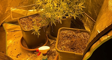 Uyuşturucu operasyonu! 5 gözaltı