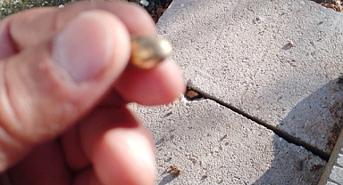 Bahçede oynayan çocukların üzerine mermi düştü