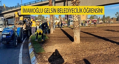 Büyükşehir'in ektiği çim elinde patladı!