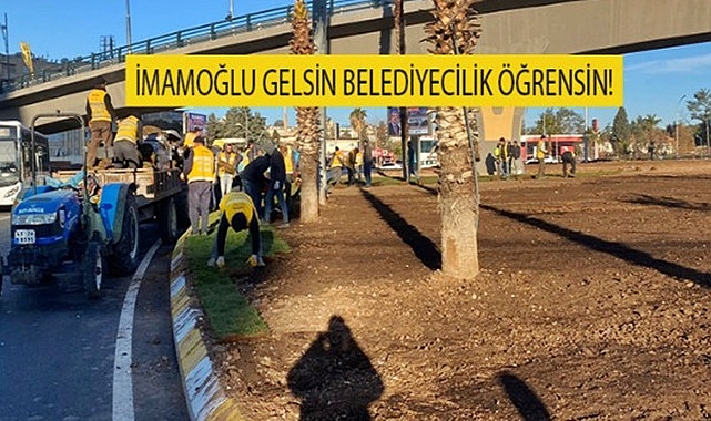 Büyükşehir'in ektiği çim elinde patladı!