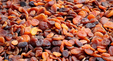 Dünyanın kuru meyve tedarikçisi Türkiye