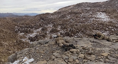 Eren Abluka Sonbahar-Kış-23 Operasyonu başlatıldı