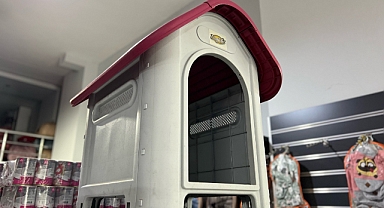 Evcil hayvan bakımı da pahalandı