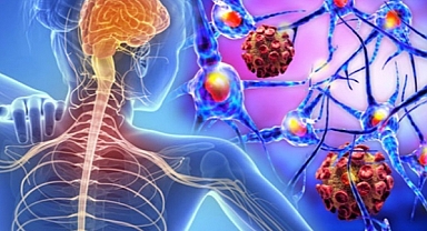 Her hastada farklılık gösteriyor