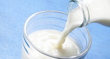 İnek sütü miktarı yüzde 6,1 azaldı