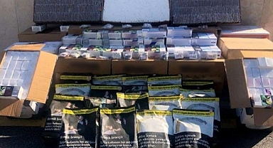 Jandarma ekipleri kaçakçılara göz açtırmıyor