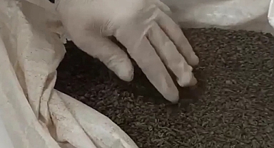 Kaçak çay baskını: 1 gözaltı