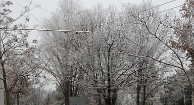Kırağı kartpostallık görüntüler oluşturdu