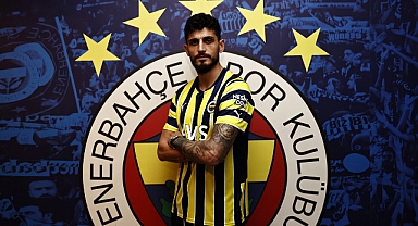 Samet Akaydın, Fenerbahçe'de