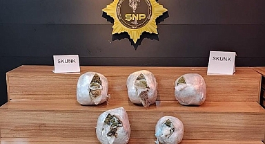Şanlıurfa'da otomobilde skunk ele geçirildi: 2 gözaltı