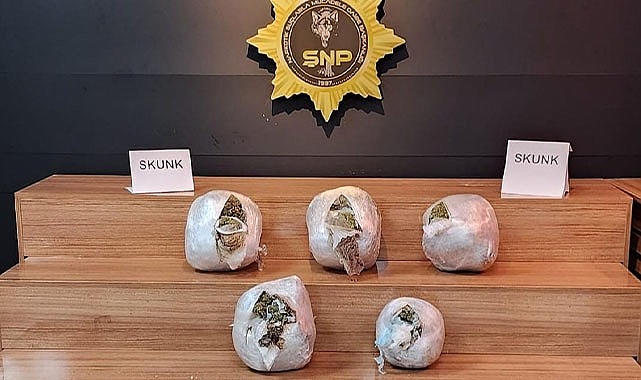 Şanlıurfa'da otomobilde skunk ele geçirildi: 2 gözaltı