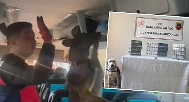 Şanlıurfa'da yol denetiminde 24 şüpheli yakalandı