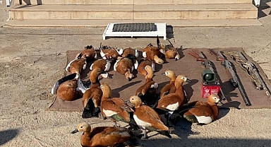 Siverek'te kaçak avcılık yapan 3 kişiye para cezası verildi
