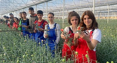 Tarım-ÜFE yıllık yüzde 151,03 arttı