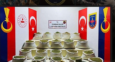 Terörün finans kaynağına darbe: 631 kilo esrar ele geçirildi
