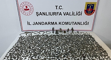 Urfa'da tarihi eser operasyonu!