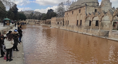 Deprem sonrası Balıklıgöl suyu çamur rengine büründü