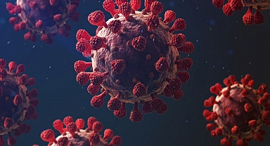 Deprem sonrası ikinci tehlike: Salgın hastalıklar