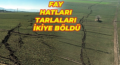 Kahramanmaraş'ta tarlalar ikiye bölündü