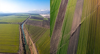Kırılan fay hattı tarlayı ikiye böldü
