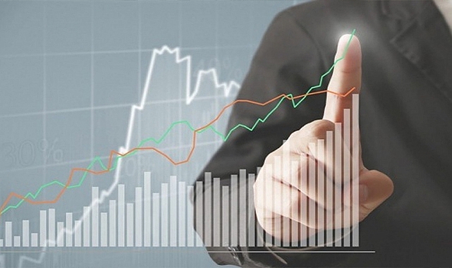 Kişi başına düşen gelir 10 bin 655 dolar oldu