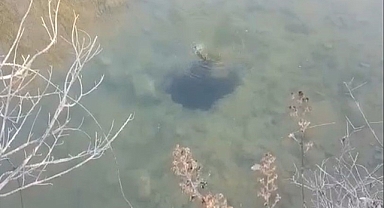 Lice’de depremler sonrası obruklar meydana geldi