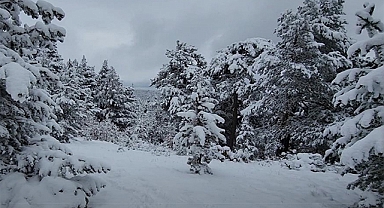 Meteoroloji'den 42 il için kar yağışı uyarısı