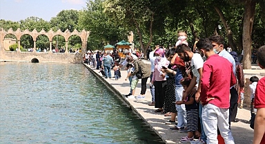 Ortanca yaşı en düşük il Şanlıurfa oldu