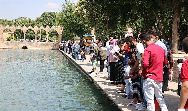 Ortanca yaşı en düşük il Şanlıurfa oldu