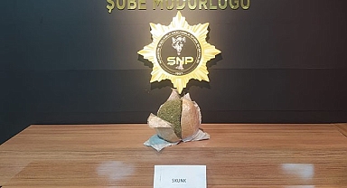 Şanlıurfa'da uyuşturucu operasyonu: 1 gözaltı