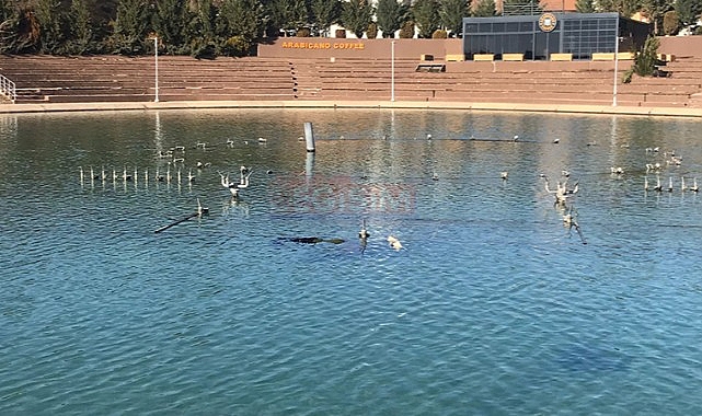 Şanlıurfa'da yapay gölde kadın cesedi bulundu