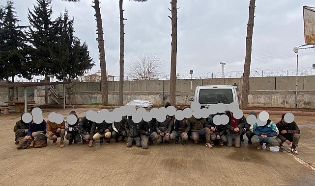 Ülkeye kaçak yollarla giren 37 göçmen yakalandı