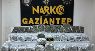 28 kilo 400 gram skunk ele geçirildi