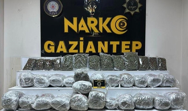 28 kilo 400 gram skunk ele geçirildi