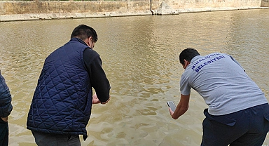 Balıklıgöl'ün suyu berraklaşmaya başladı