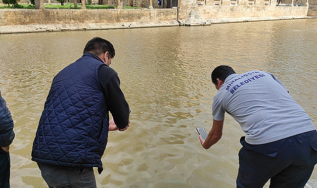 Balıklıgöl'ün suyu berraklaşmaya başladı