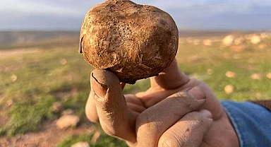 Birçok ailenin geçim kaynağı oluyor