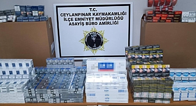 Ceylanpınar'da 823 paket kaçak sigara ele geçirildi