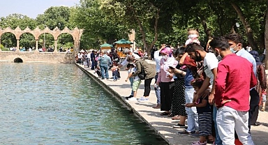 Erkeklerde evlenme yaşının en düşük olduğu il Şanlıurfa oldu