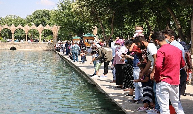 Erkeklerde evlenme yaşının en düşük olduğu il Şanlıurfa oldu