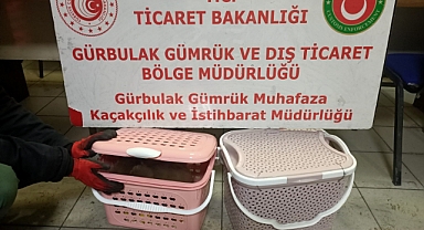 Gümrük Kapısı’nda 11 adet yavru maymun ele geçirildi