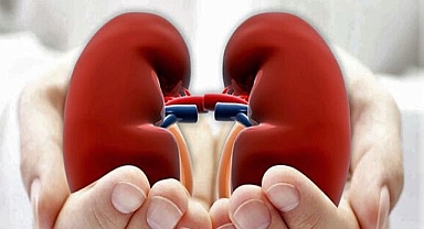 Her 10 kişiden 1’i kronik böbrek hastalığından muzdarip