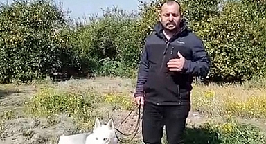 Konteyner almak isterken 60 bin TL dolandırıldı