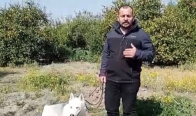 Konteyner almak isterken 60 bin TL dolandırıldı